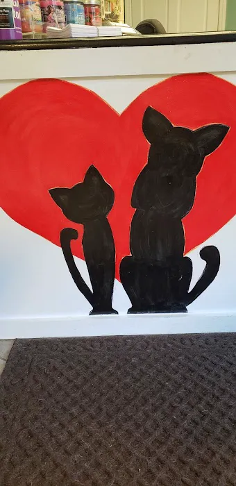 My Best Friends Animal Hospital Picture 7