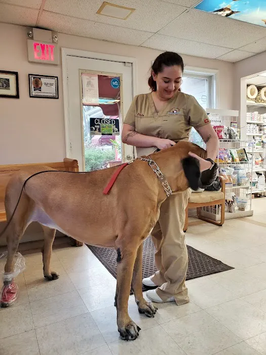 Atlantic Animal Health Center Picture 3