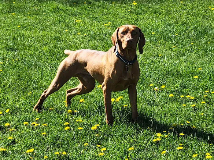 Atlantic Animal Health Center Picture 9