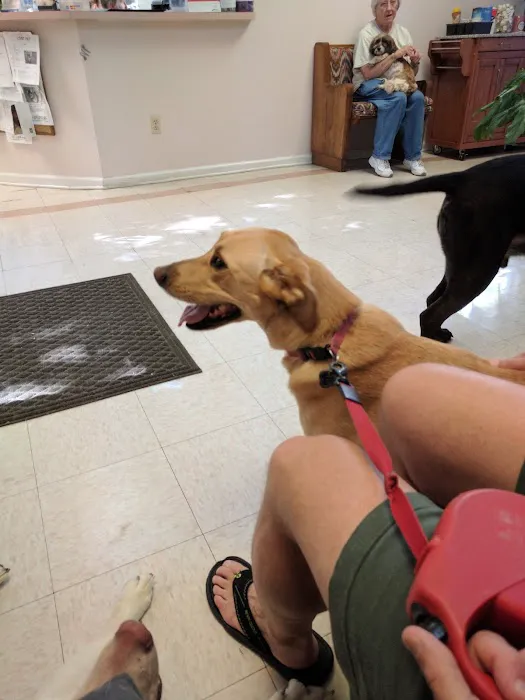 Atlantic Animal Health Center Picture 8