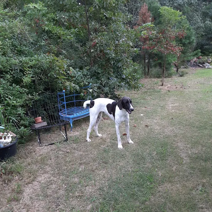 Atlantic Animal Health Center Picture 6