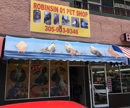 Thiago Pet shop LLC