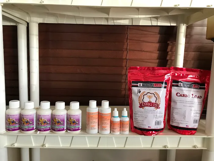 Thiago Pet shop LLC Picture 9
