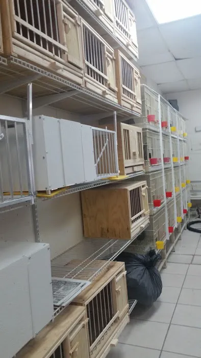 Thiago Pet shop LLC Picture 3