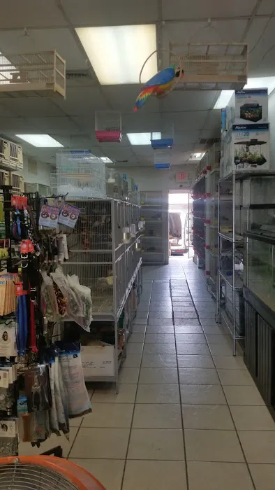 Thiago Pet shop LLC Picture 8