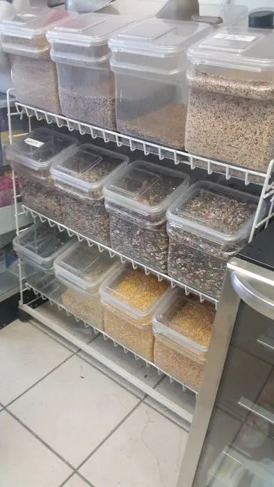 Thiago Pet shop LLC Picture 5