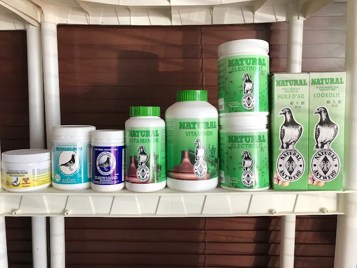 Thiago Pet shop LLC Picture 10