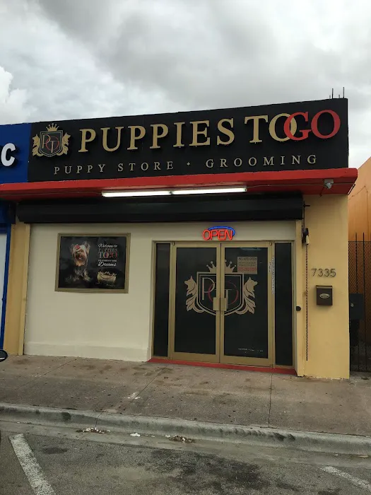 Puppies To Go Picture 3