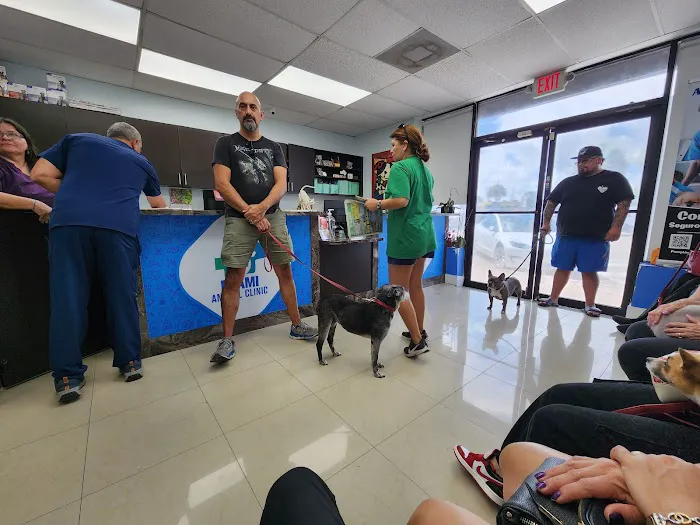 Puppies To Go Picture 2