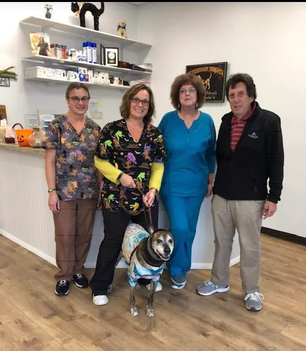 Brigantine Animal Hospital Picture 8
