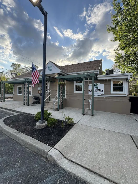 Galloway Veterinary Wellness Picture 7