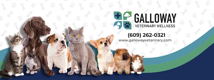 Galloway Veterinary Wellness Picture 5