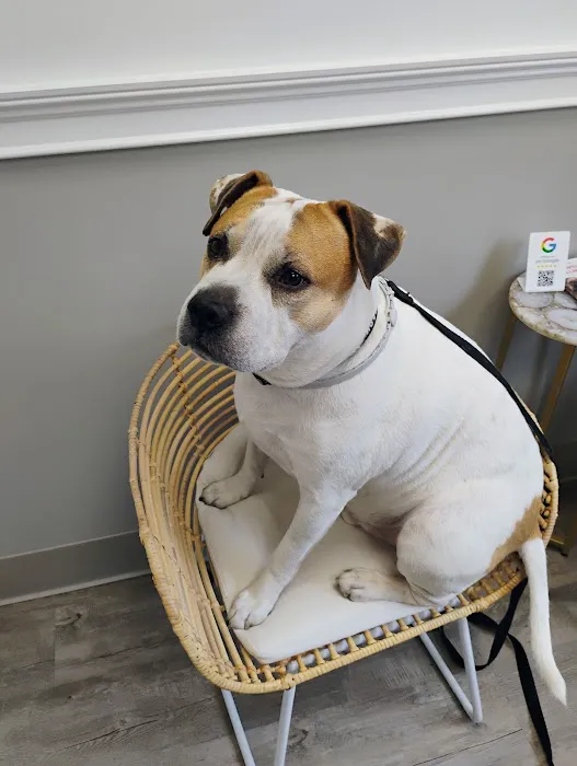 Galloway Veterinary Wellness Picture 2
