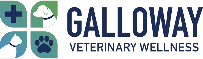 Galloway Veterinary Wellness Picture 3