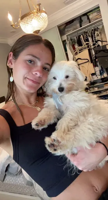 Puppy City Picture 2