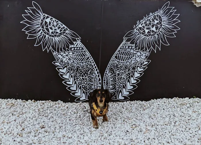 Puppy City Picture 7