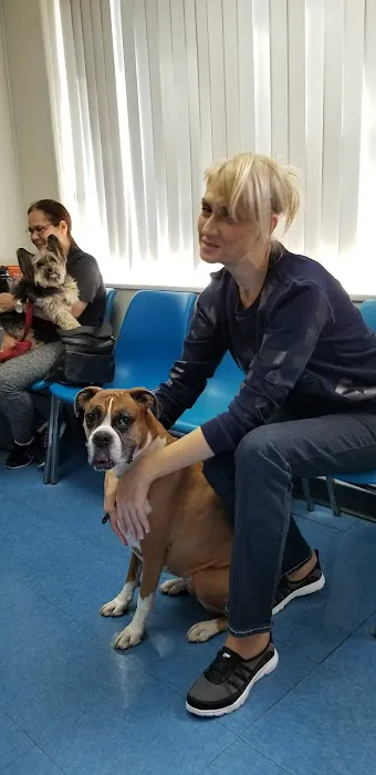 Animal Clinic of Bay Ridge Picture 5