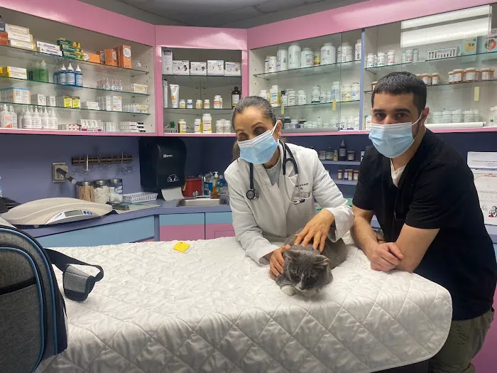 Animal Clinic of Bay Ridge Picture 9