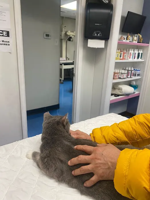 Animal Clinic of Bay Ridge Picture 3