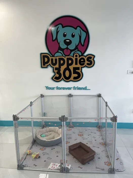 Puppies 305 Picture 7