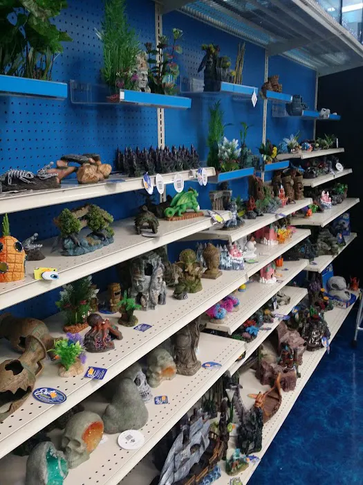 Pet Supermarket Picture 8