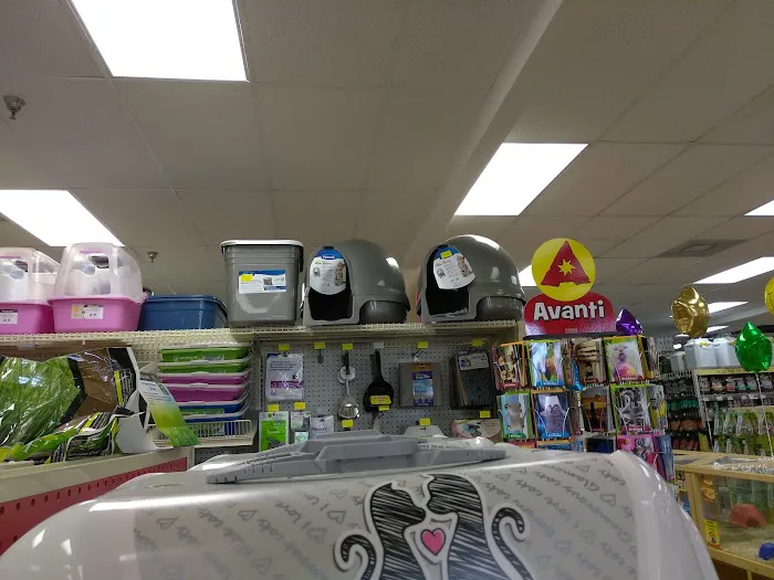 Pet Supermarket Picture 3