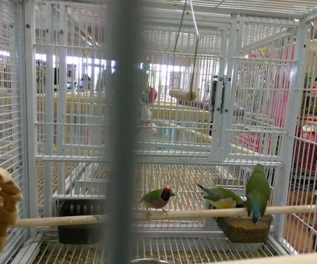 Pet Supermarket
