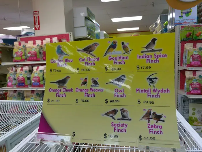 Pet Supermarket Picture 4