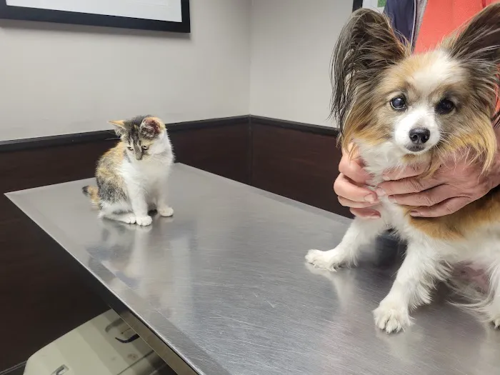 Animal Clinic & Hospital of Jersey City Picture 1