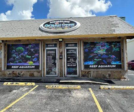 Ocean View Aquariums