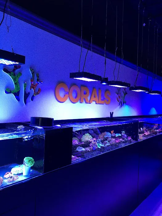 Ocean View Aquariums Picture 2