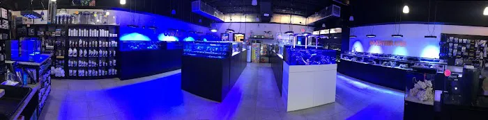 Ocean View Aquariums Picture 8