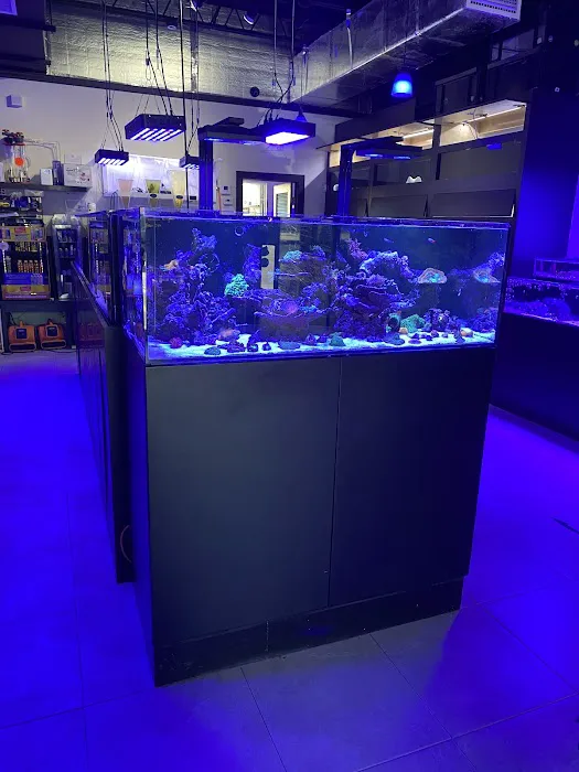 Ocean View Aquariums Picture 4