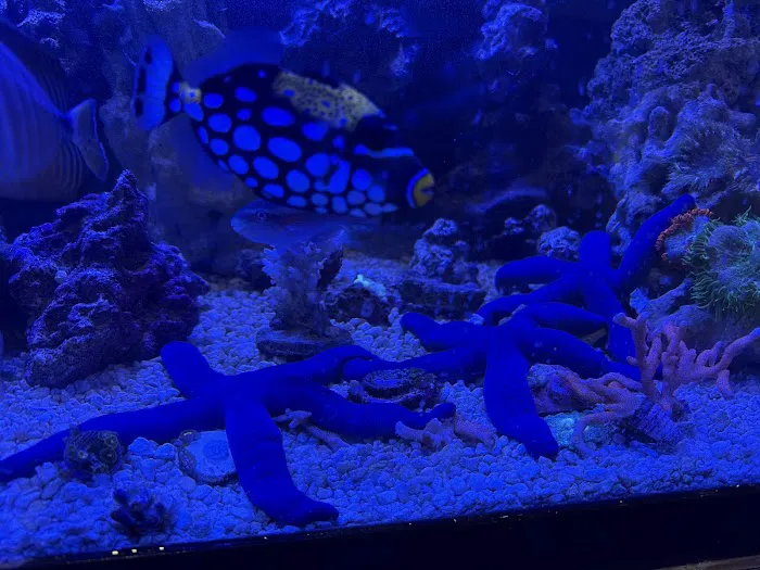 Hydros Aquatics Picture 6