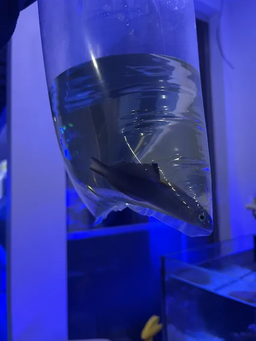 Hydros Aquatics Picture 9
