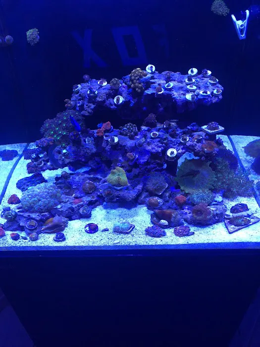Hydros Aquatics Picture 4
