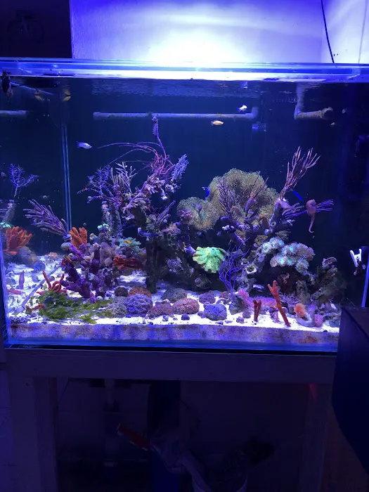 Hydros Aquatics Picture 2