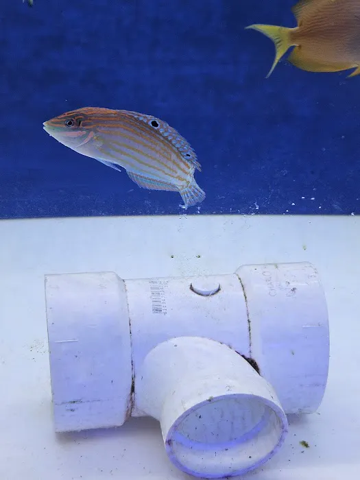 Hydros Aquatics Picture 8