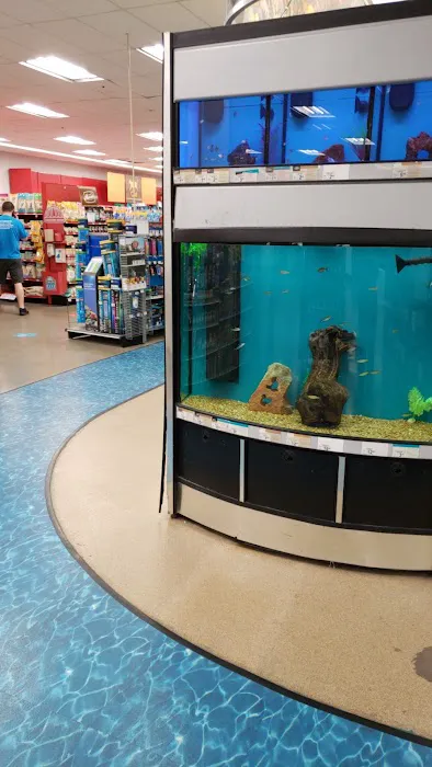 Petco Picture 1