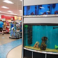 Petco ico