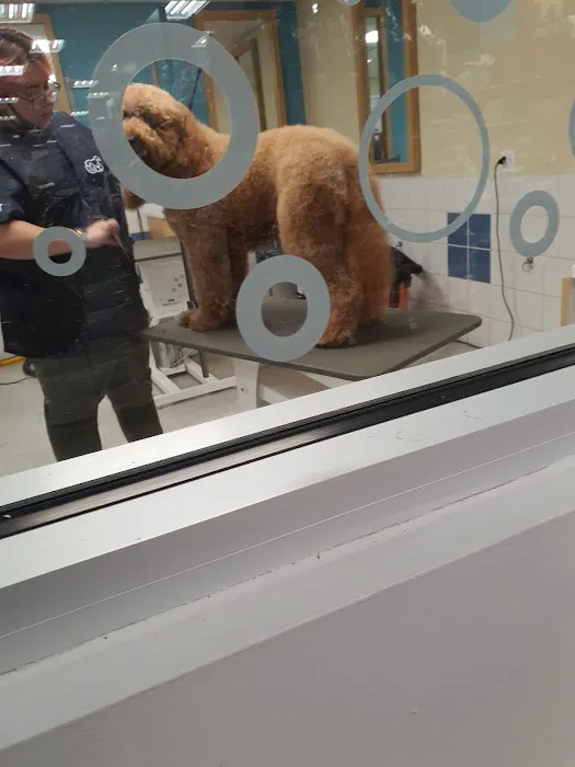 Petco Picture 9