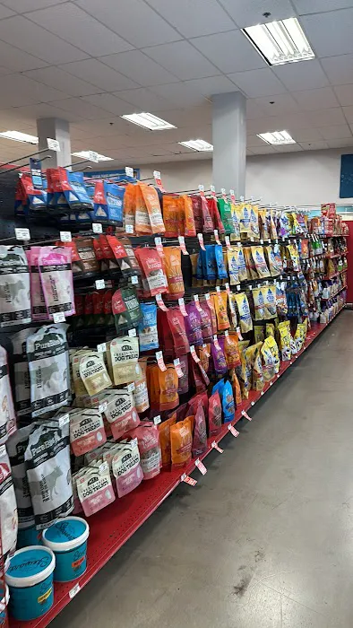 Petco Picture 4