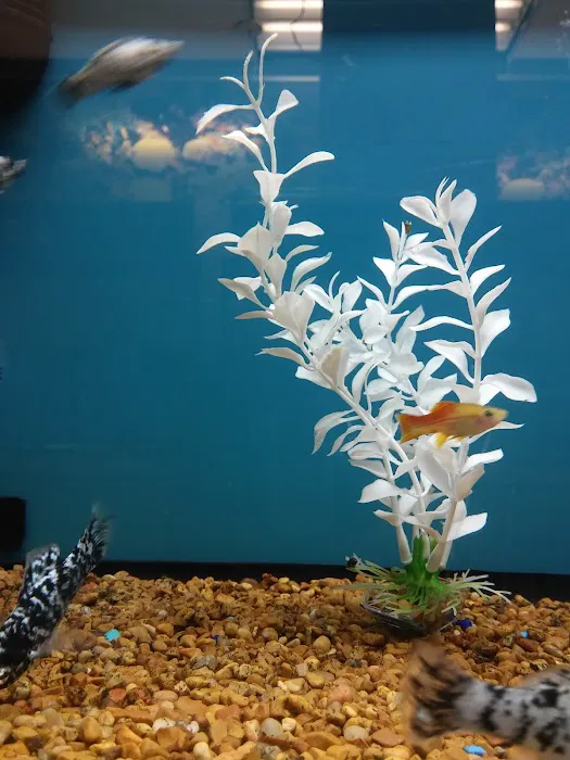 Petco Picture 6