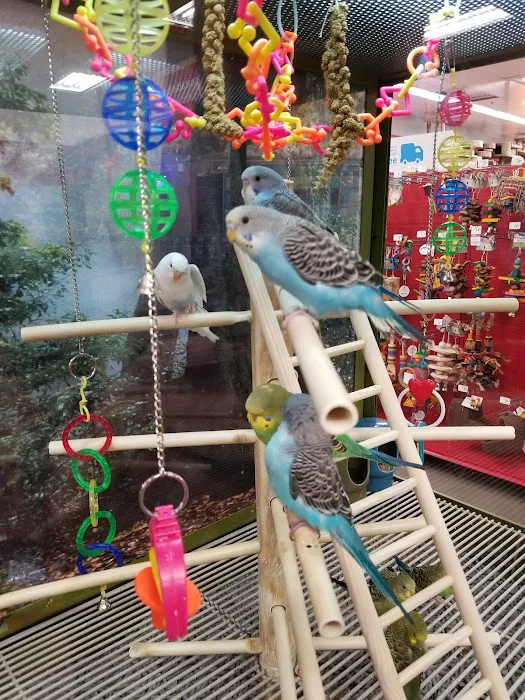 Petco Picture 7