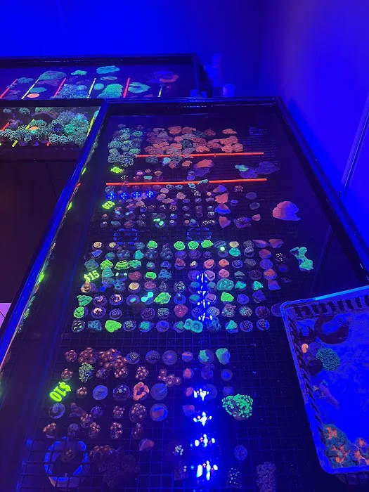 The House Of Fishes And Corals Picture 3