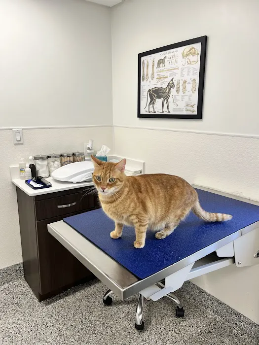 Veterinaire Pet Care Picture 2
