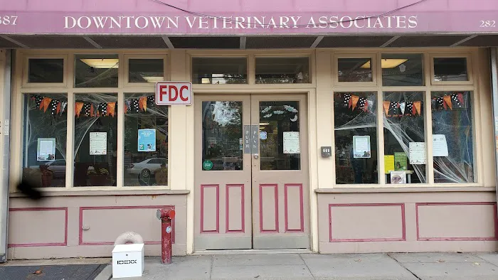 Downtown Veterinary Associates Picture 1