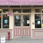 Downtown Veterinary Associates