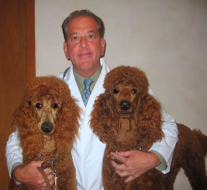 Downtown Veterinary Associates Picture 8