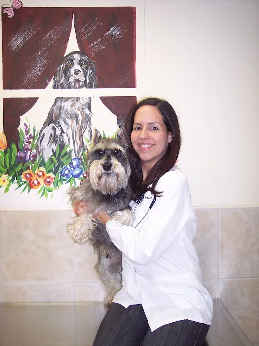 Downtown Veterinary Associates Picture 4